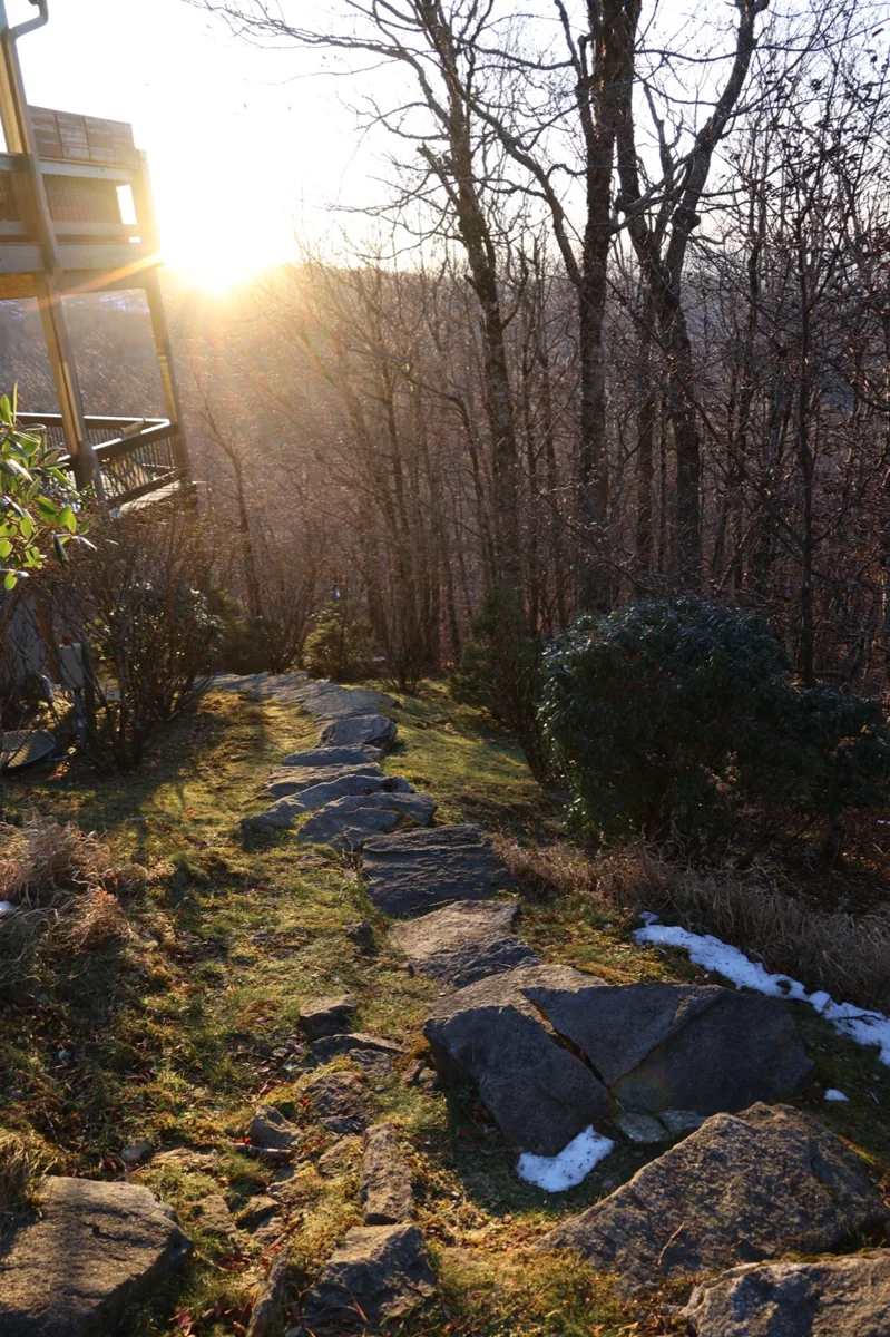 Sunlight through winter trees along a mossy stone wall
